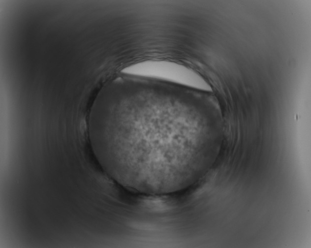 X0000093170523200710101214