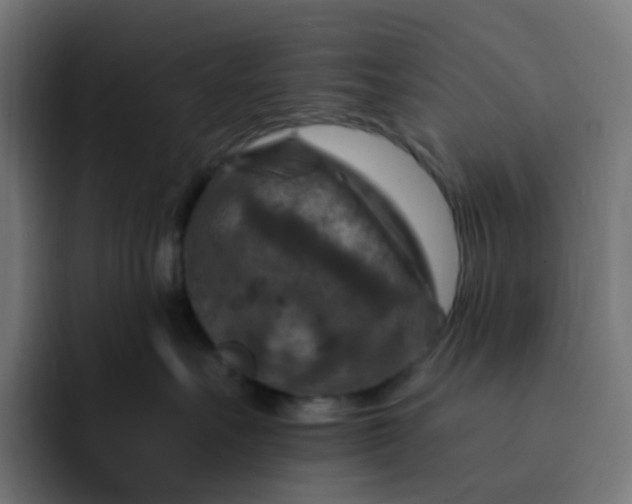 X0000093170527200710101214