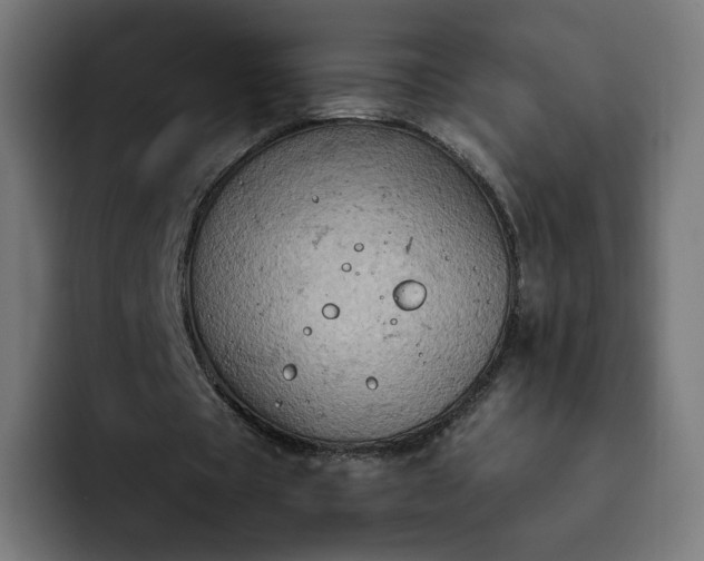 X0000093170529200710101214