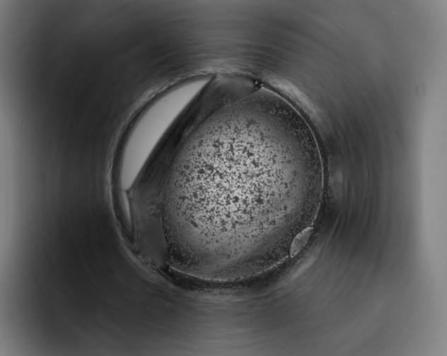X0000093170530200710101214