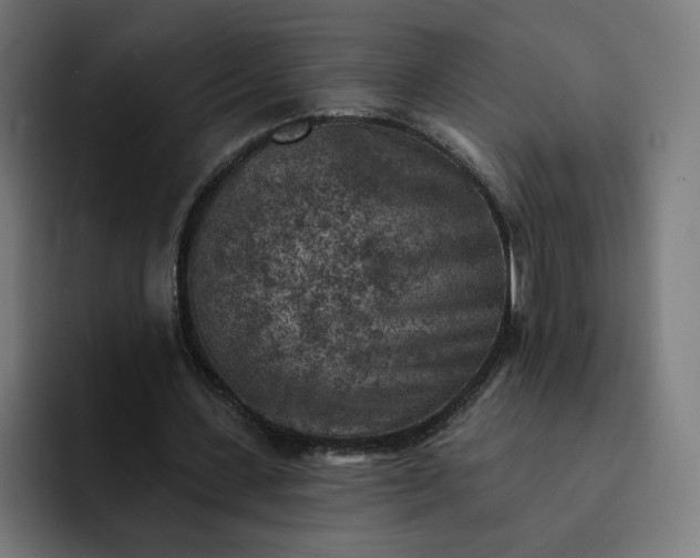 X0000093170531200710101214