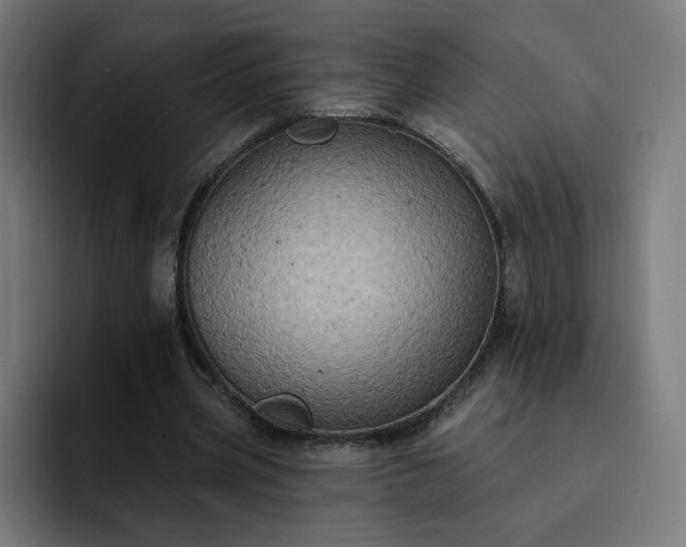 X0000093170533200710101214