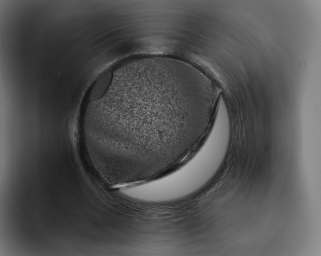 X0000093170536200710101214