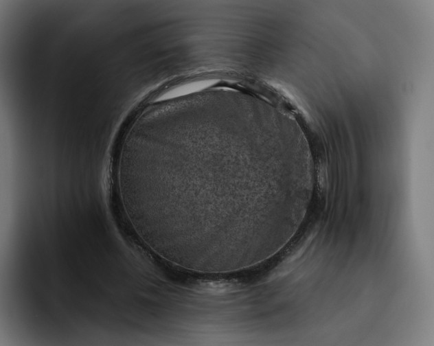 X0000093170540200710101214