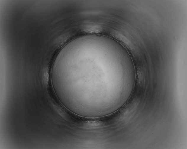 X0000093170541200710101214