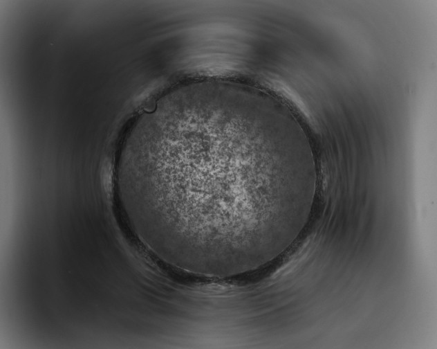 X0000093170542200710101214