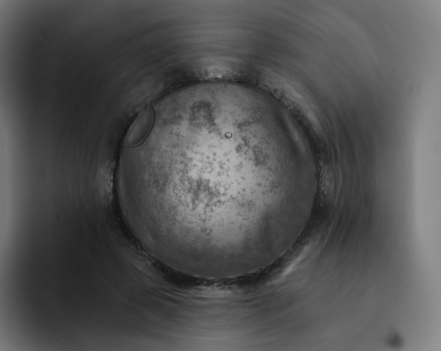 X0000093170545200710101214