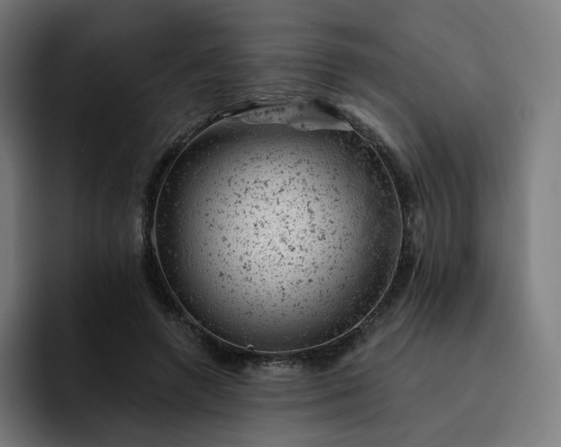 X0000093170546200710101214