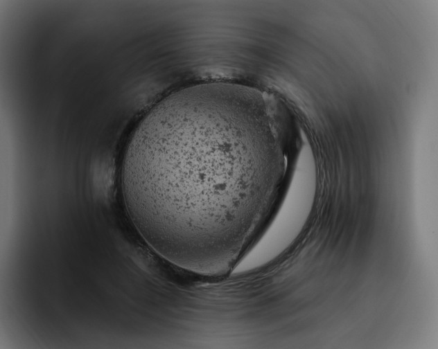 X0000093170548200710101214