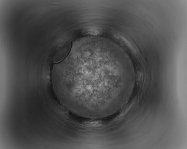 X0000093170553200710101214
