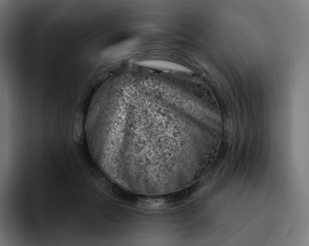 X0000093170554200710101214