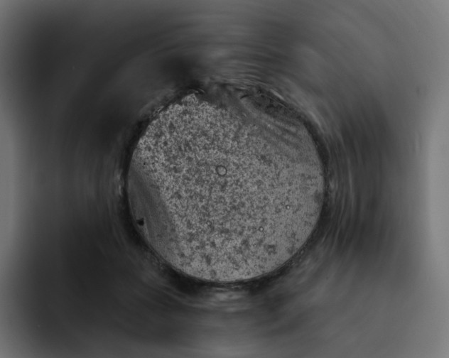 X0000093170555200710101214