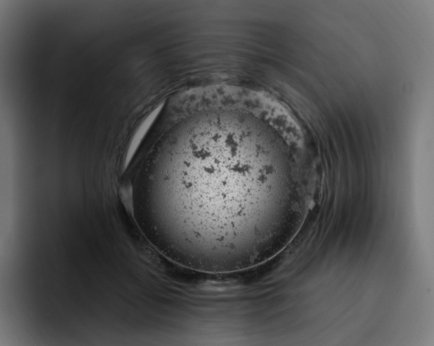 X0000093170556200710101214
