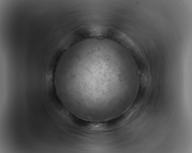 X0000093170557200710101214