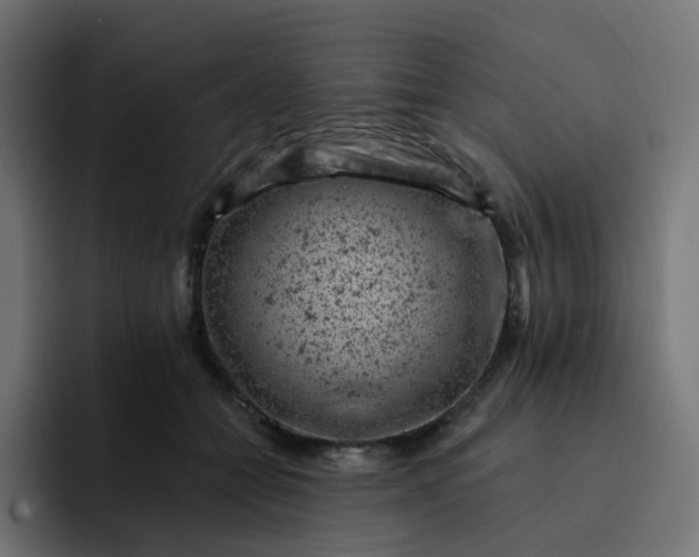 X0000093170558200710101214