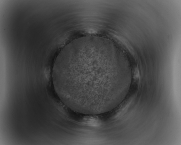 X0000093170559200710101214
