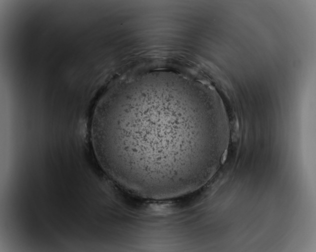 X0000093170560200710101214