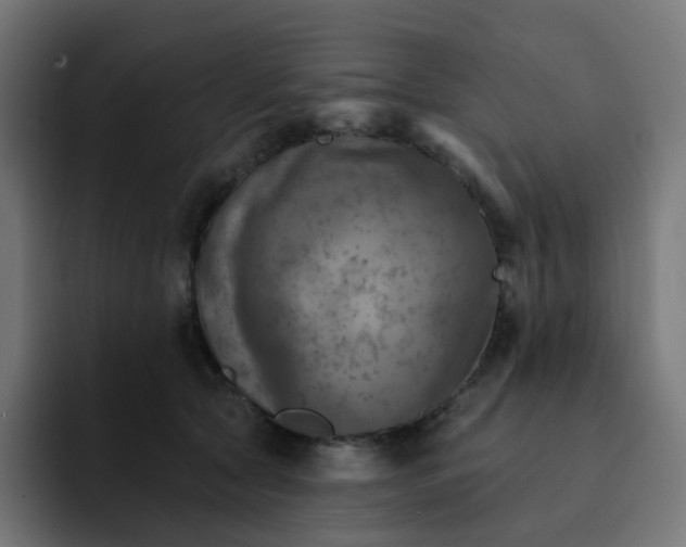 X0000093170561200710101214