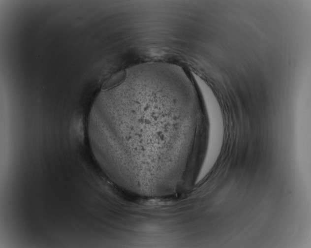 X0000093170562200710101214