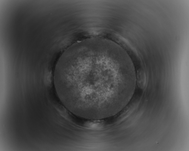 X0000093170563200710101214