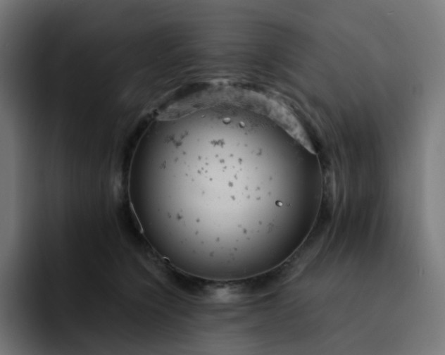 X0000093170564200710101214