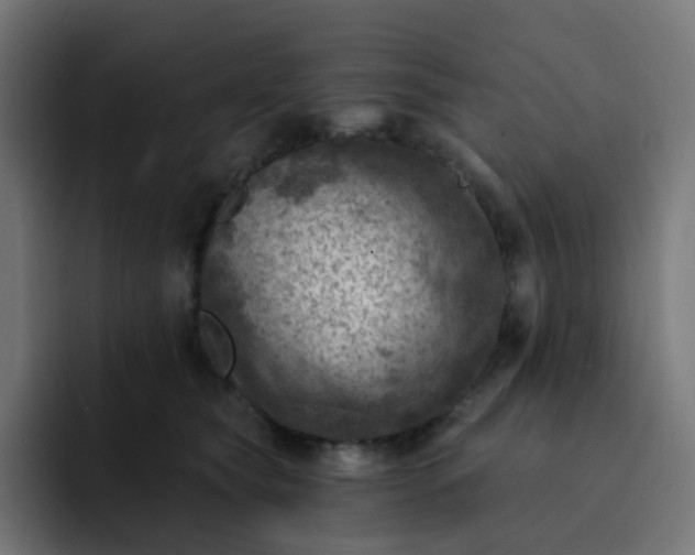 X0000093170565200710101214