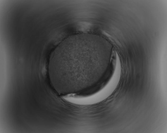X0000093170566200710101214