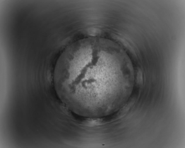 X0000093170569200710101214