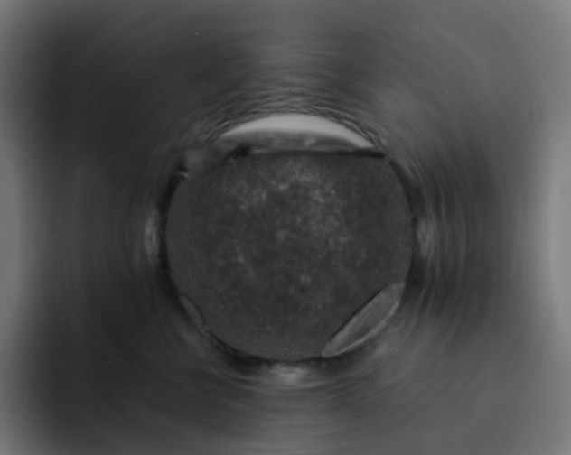 X0000093170570200710101214