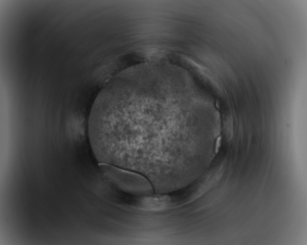 X0000093170571200710101214