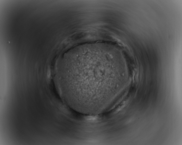 X0000093170574200710101214