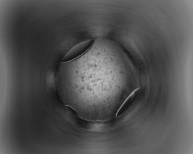 X0000093170575200710101214