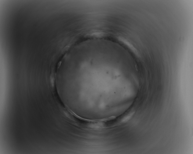 X0000093170576200710101214