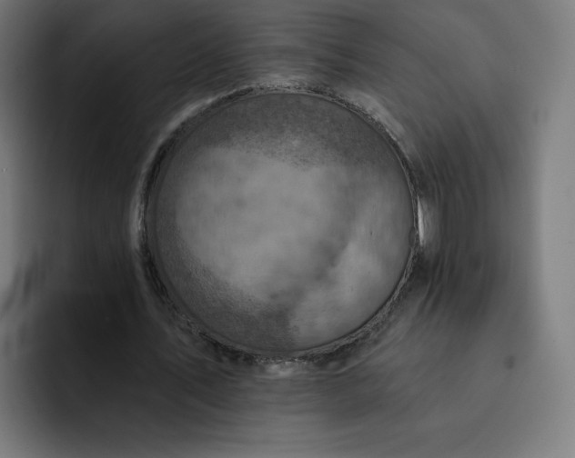 X0000093170579200710101214