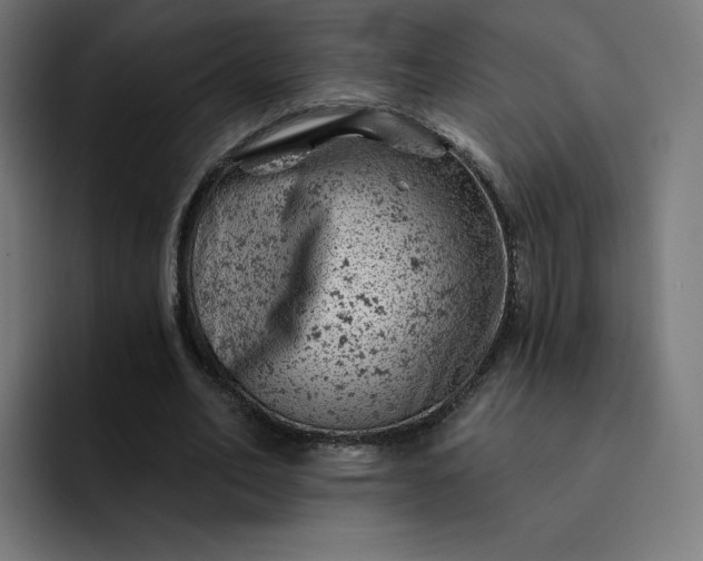 X0000093170582200710101214