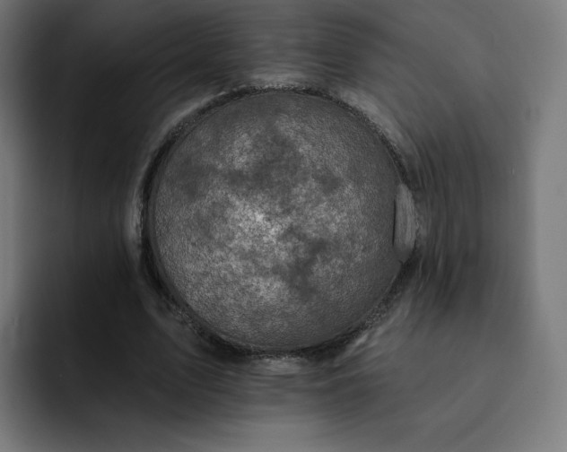 X0000093170583200710101214