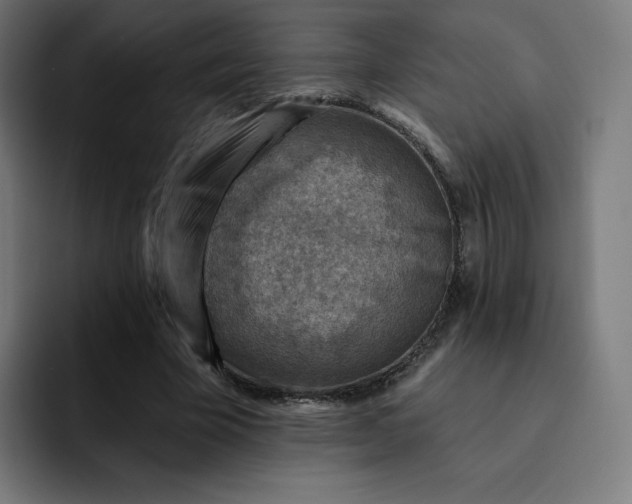 X0000093170585200710101214
