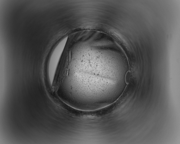 X0000093170586200710101214