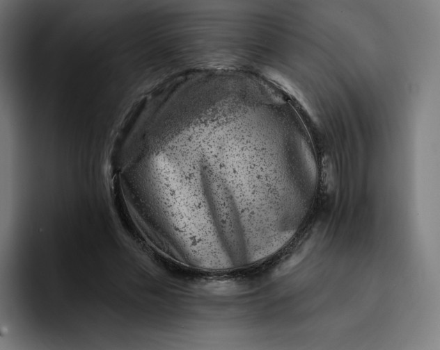 X0000093170589200710101214