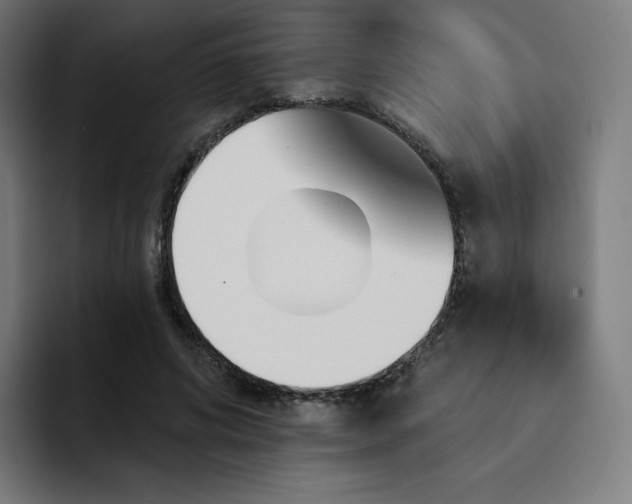 X0000093170592200710101214