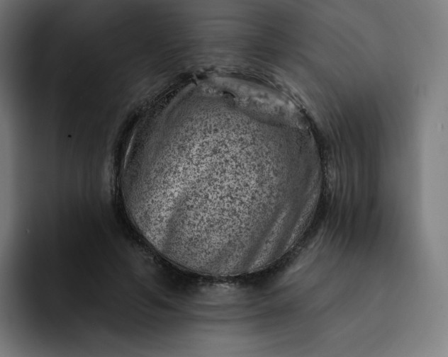 X0000093170594200710101214
