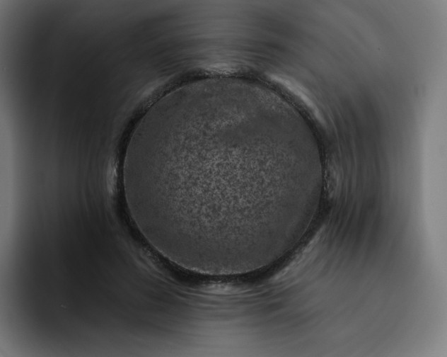 X0000093170596200710101214