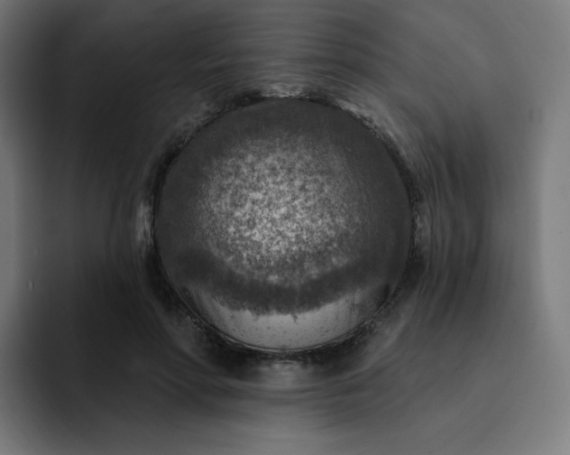 X0000093170598200710101214