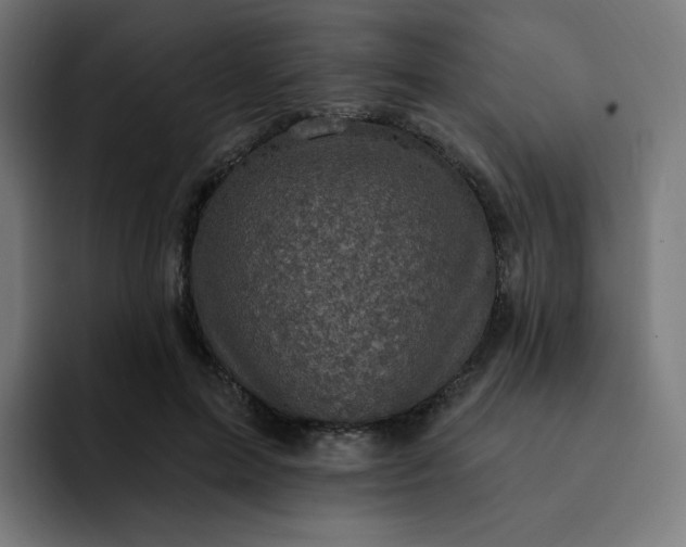 X0000093170599200710101214