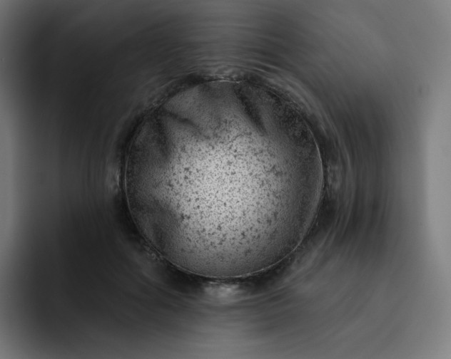 X0000093170602200710101213