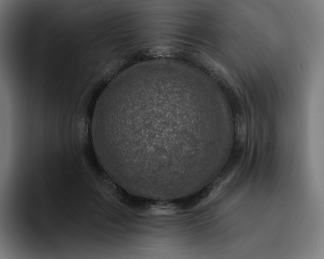 X0000093170603200710101213