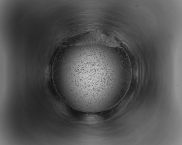 X0000093170605200710101213