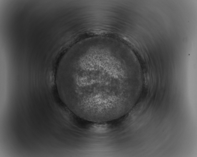 X0000093170606200710101213