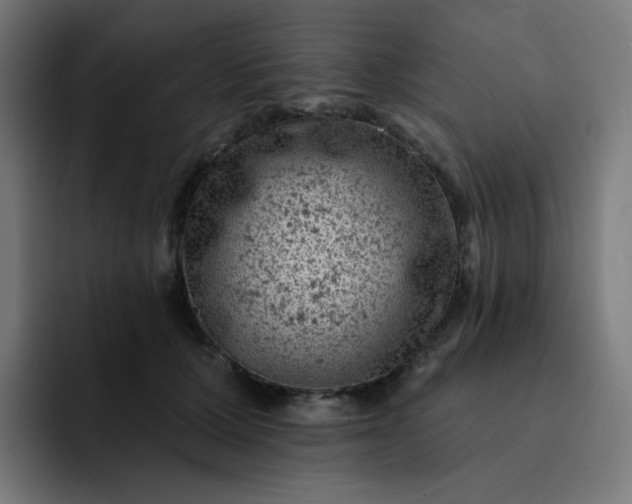 X0000093170607200710101213