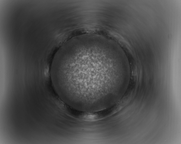 X0000093170610200710101213